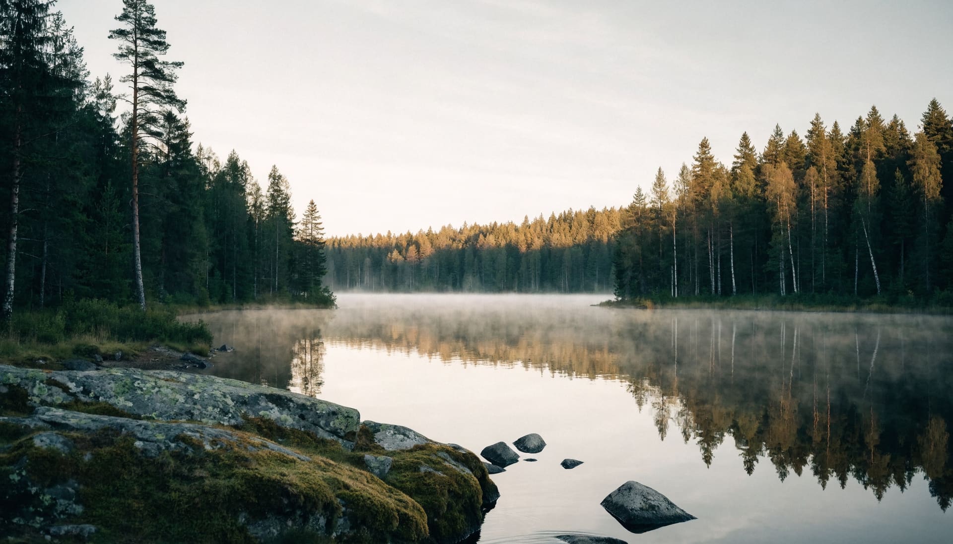 Tyyni metsäjärvi auringonnousussa (kuvituskuva)